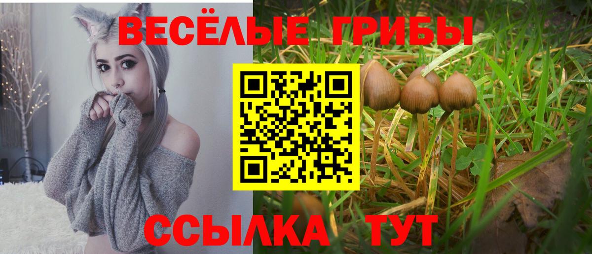 Псилоцибиновые грибы GOLDEN TEACHER Алексин